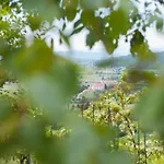 Sunny Two Bedroom Retreat In Beautiful - Two Bedroom * Bizeljsko