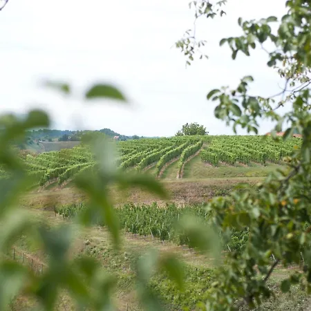 Sunny Two Bedroom Retreat In Beautiful Bizeljsko - Two Bedroom Holiday home Bizeljsko