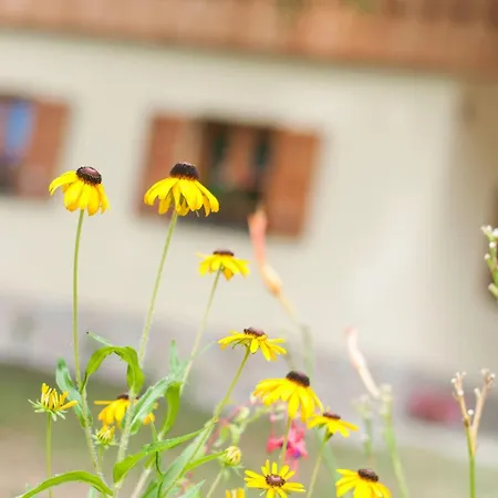 Sunny Two Bedroom Retreat In Beautiful - Two Bedroom Bizeljsko
