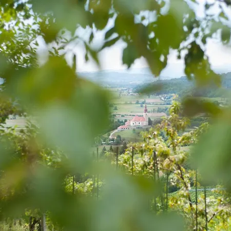 Sunny Two Bedroom Retreat In Beautiful Bizeljsko - Two Bedroom * Bizeljsko