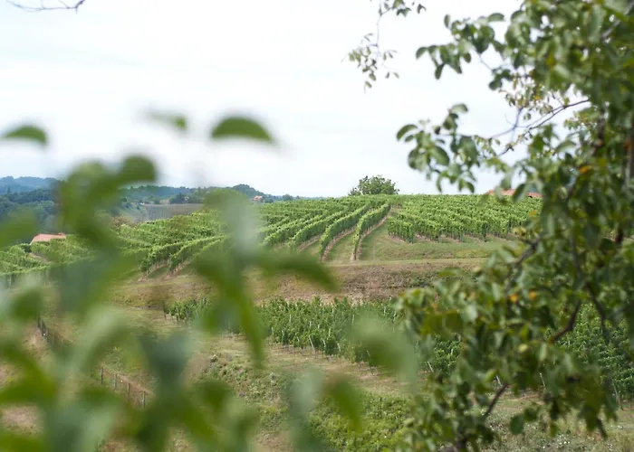 Sunny Two Bedroom Retreat In Beautiful Bizeljsko - Two Bedroom Semesterbostad Bizeljsko