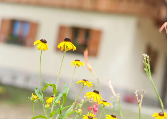 Sunny Two Bedroom Retreat In Beautiful Bizeljsko - Two Bedroom Bizeljsko