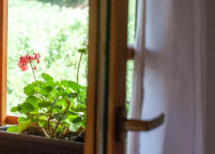 Sunny Two Bedroom Retreat In Beautiful Bizeljsko - Two Bedroom Prázdninový dům Bizeljsko